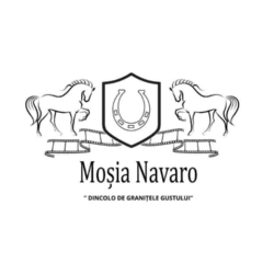Burgeria Navaro logo