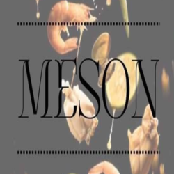 Meson logo