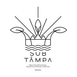 Sub Tampa logo