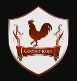 LA CASUTA  By Cocosu Rosu logo