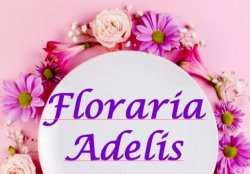 Floraria Adelis logo