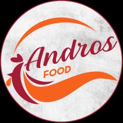 Andros logo