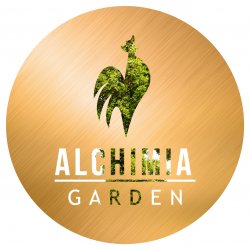 Cocosul de Aur - Alchimia Garden logo