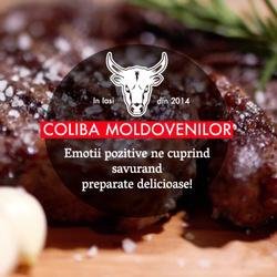 Coliba Moldovenilor- Pizza la Vatra logo