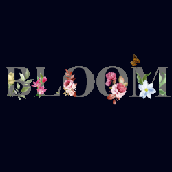 Floraria Bloom by night Cluj logo