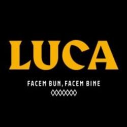 LUCA Drive logo