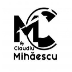Mc Shoes logo