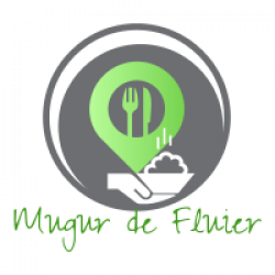 Mugur de Fluier Hasdeu logo