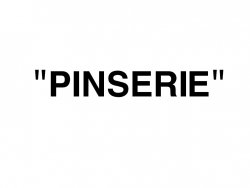 PINSERIE logo