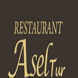Restaurant AselTur logo