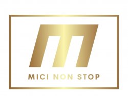 Mici NON Stop logo