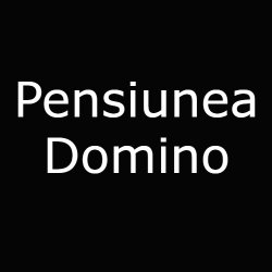 Pensiunea Domino logo