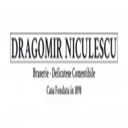 Dragomir Niculescu Sud logo