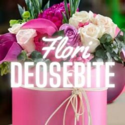Flori Deosebite logo