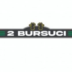 2 Bursuci logo