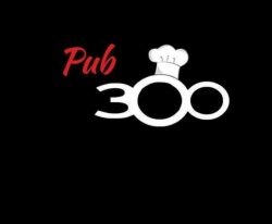 Pub 300 logo