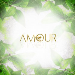 Amour Flowers&Gifts logo