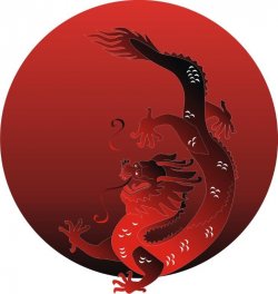 Restaurant Nan Jing logo