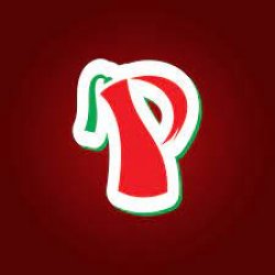Pasha logo