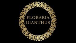 Floraria Dianthus Constanta logo
