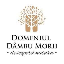 Domeniu Dambu Morii logo