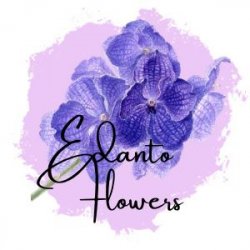EDANTO Flowers logo