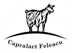 Capralact Feleacu logo