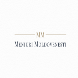 Opa Food - Mancaruri Moldovenesti logo