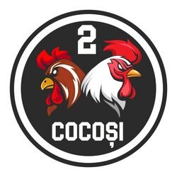 2 Cocosi logo