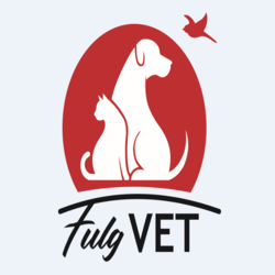 Pet Shop Fulgvet logo