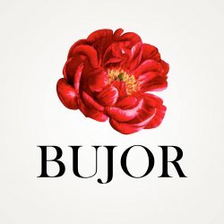 Floraria BUJOR Iasi logo
