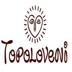 Topoloveni Rosetti logo