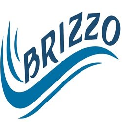 Brizzo logo