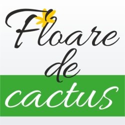 Restaurant Floare de Cactus logo