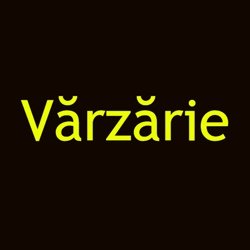 Varzarie logo