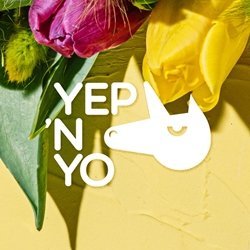 Yep `n Yo Cluj-Napoca logo