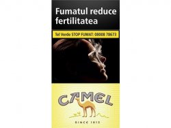 Camel filters