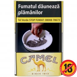 Camel filters lung