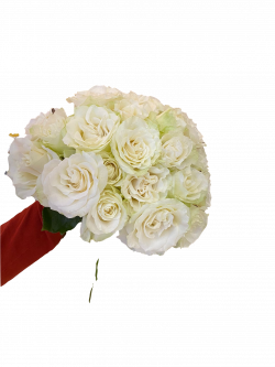 White Sensation 21 Roses