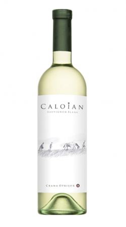 Sauvignon blanc image