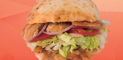 Doner de pui image