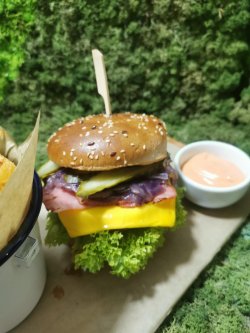 Burger e45 image