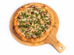 Porcini image