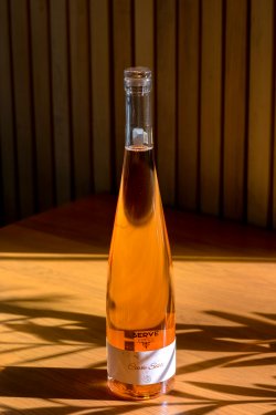 Vin roze - Cuvee Sissi, Crama Serve, Soi Pinot Noir image