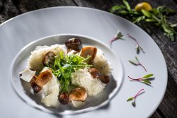 Risotto cu hribi image
