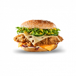 Real Burger Nepicant image