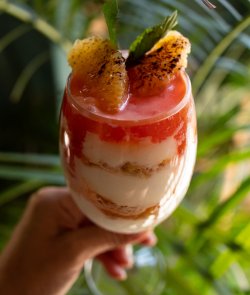 Aperol tiramisu image