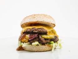 20% reducere: Splendid Burger image