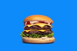 Double Cheeseburger image