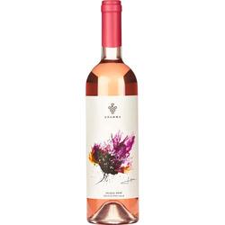 Gramma Splash Pinot Noir Sec 12,5%0,75L